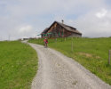 alpeweisfluh