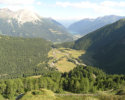 alpgrüm