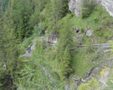 glaspass