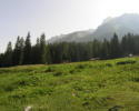 brenta